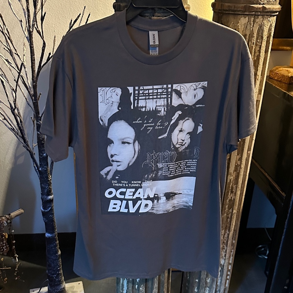 Lana Del Ray Graphic Tee in Gray